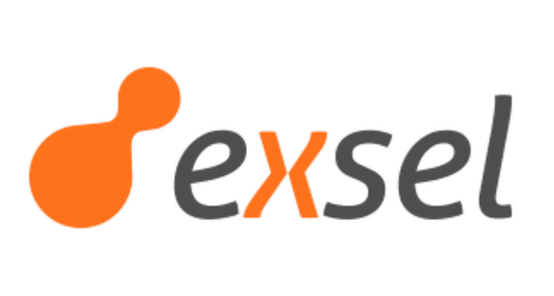 EXSEL COLOR