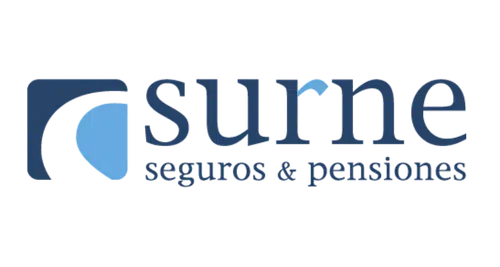 SURNE COLOR